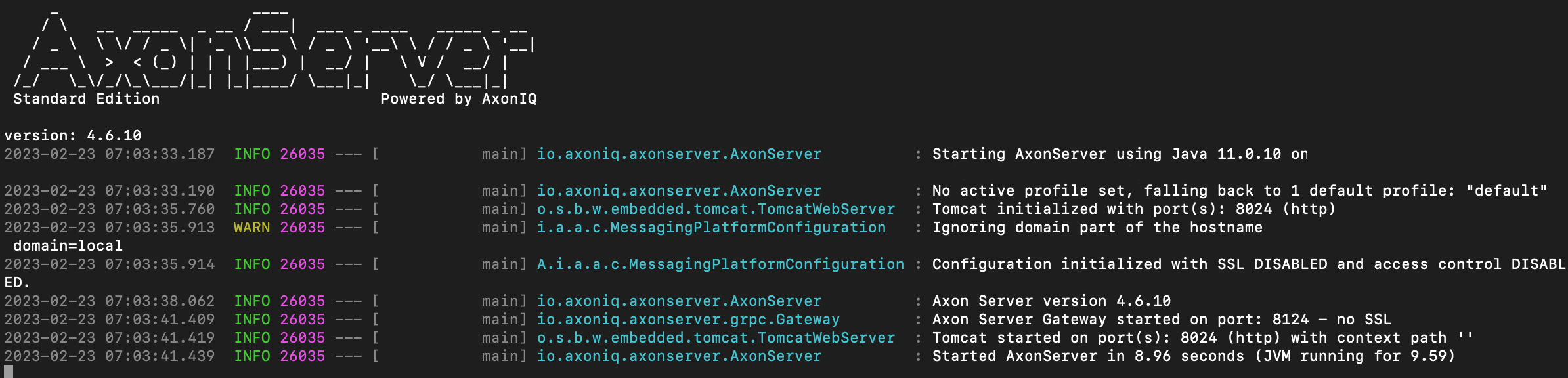 A screenshot of successfully started Axon Server